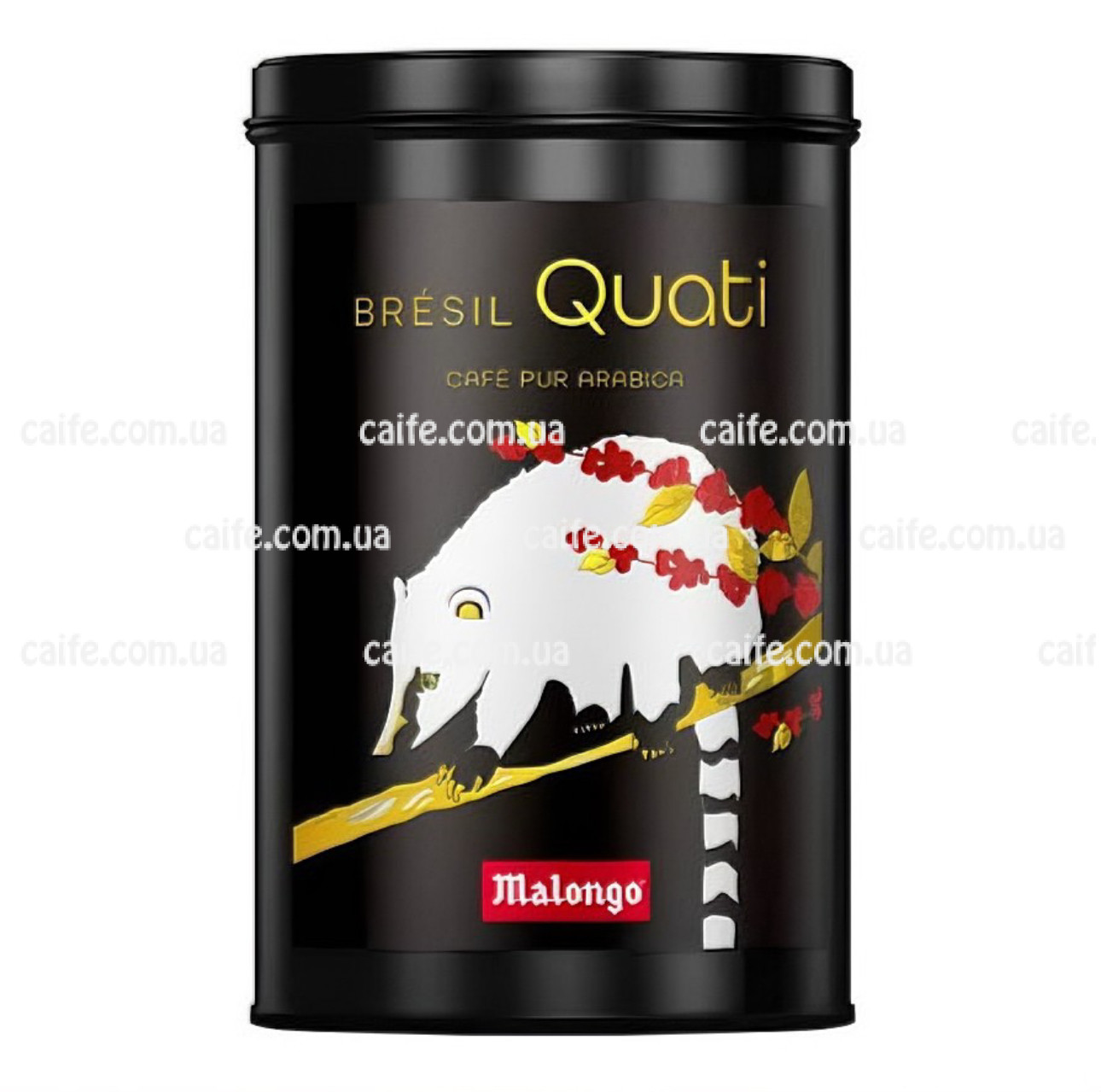 Bresil Quati Bresil Quati