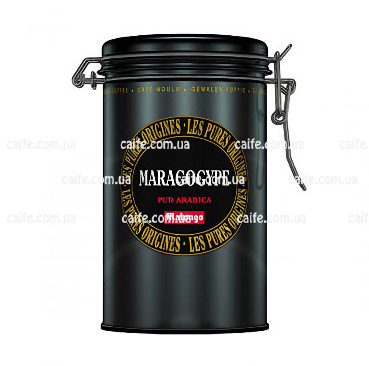 Maragogype Maragogype